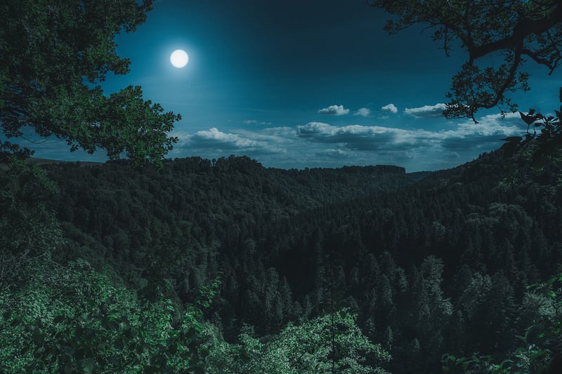 Harvest Moon